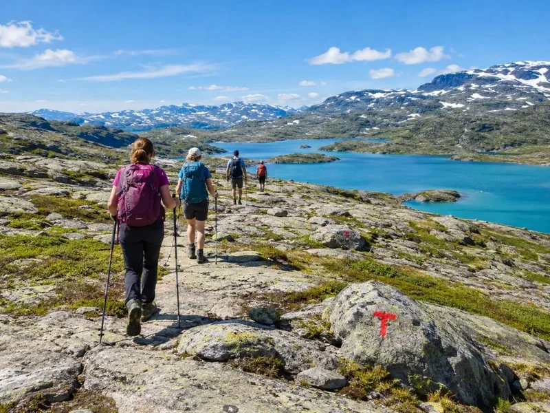 Trolltunga Guided Summer Day Hike